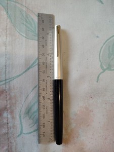 Pilot 14K Gold Fine Nib Fountain Pen