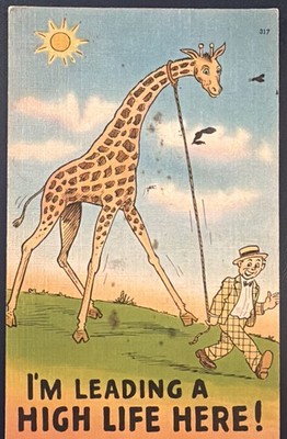 Vintage Tichnor Giraffe Comic Postkarte I m Leading A High Life Here 1945 USA