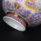 Bild 8 von 8