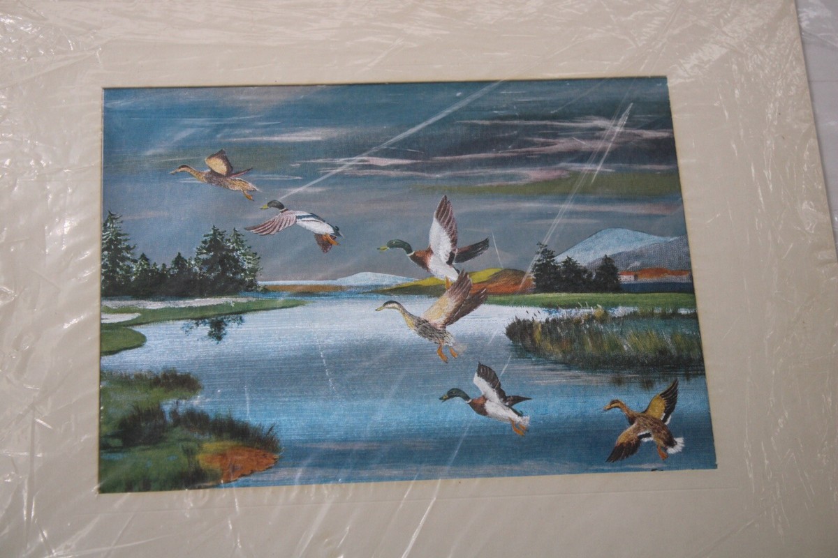 Vintage Mallard in Flight Dufex Foil Art Print Edward Ward