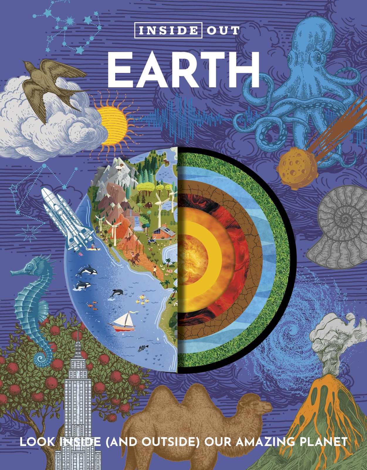 Inside Out Earth: Look Inside Our Amazing Planet. Books 9780785844778 New**