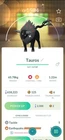 Shiny Paldean Tauros ( Blaze ) - 1mill Star.d