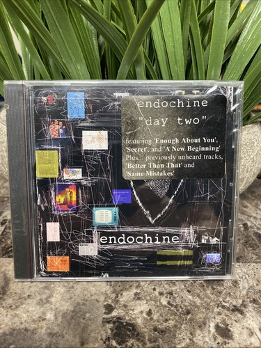 NEU: Endochine - Day Two (CD, 2004) KOSTENLOSER VERSAND - Bild 1 von 3