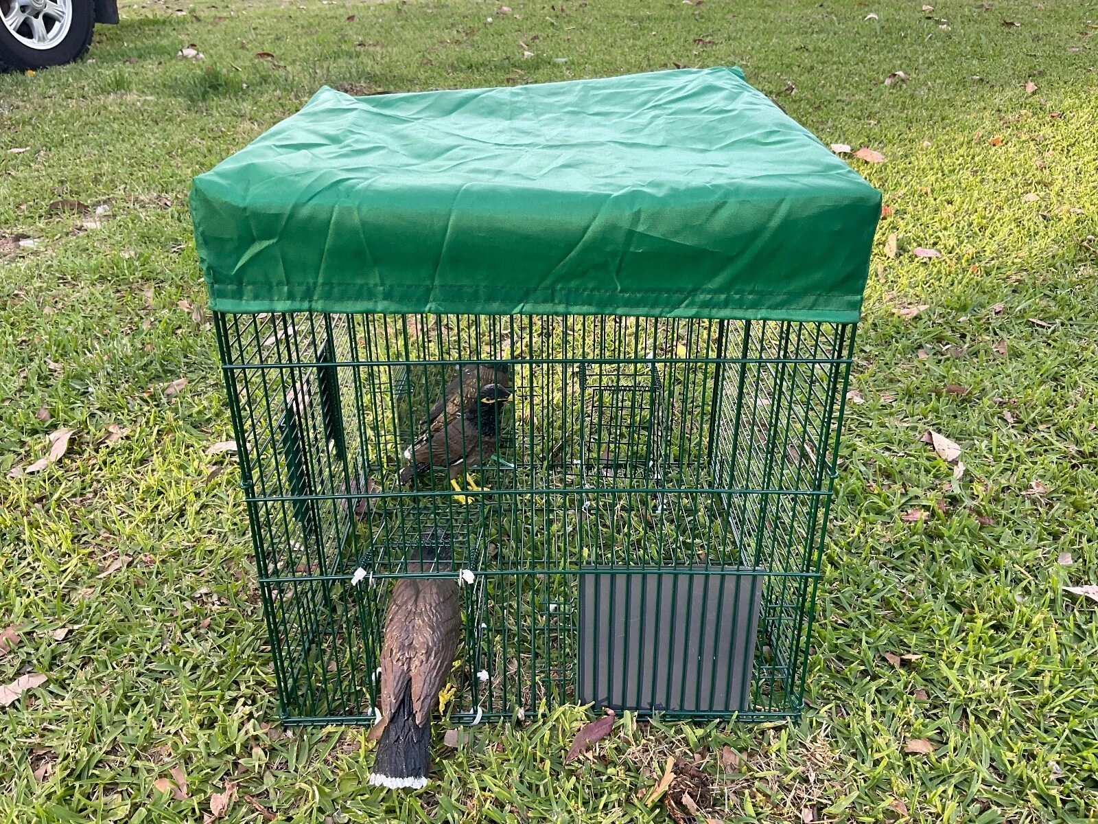 Picture 16 of 24