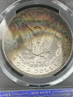 1887-P PCGS MS64 Morgan Silver Dollar PQ Rainbow Toning Vibrant Color