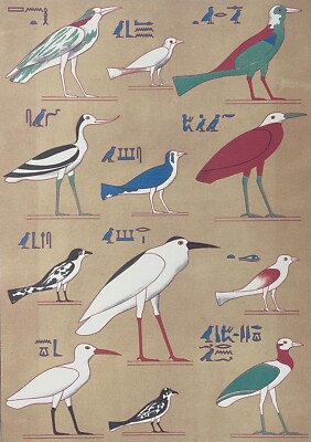 Egypt Beni-Hassan el-Qadim bird tombs of Nevotph and Menotph Bird