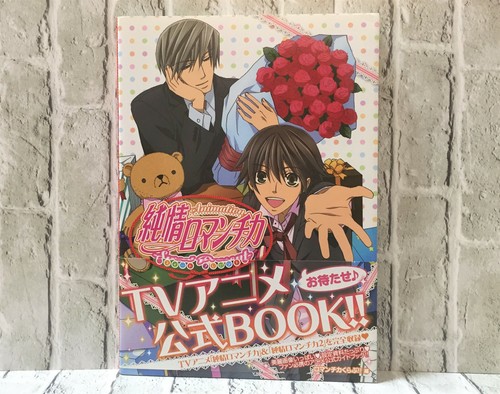 NUEVO Junjou Romantica Animación Dulce Presente Guía Libro de Arte Oficial Japón - Imagen 2 de 5