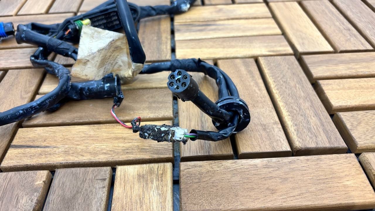 Ferrari F430 LEFT/RIGHT DOOR CONNECTOR CABLES # 198209