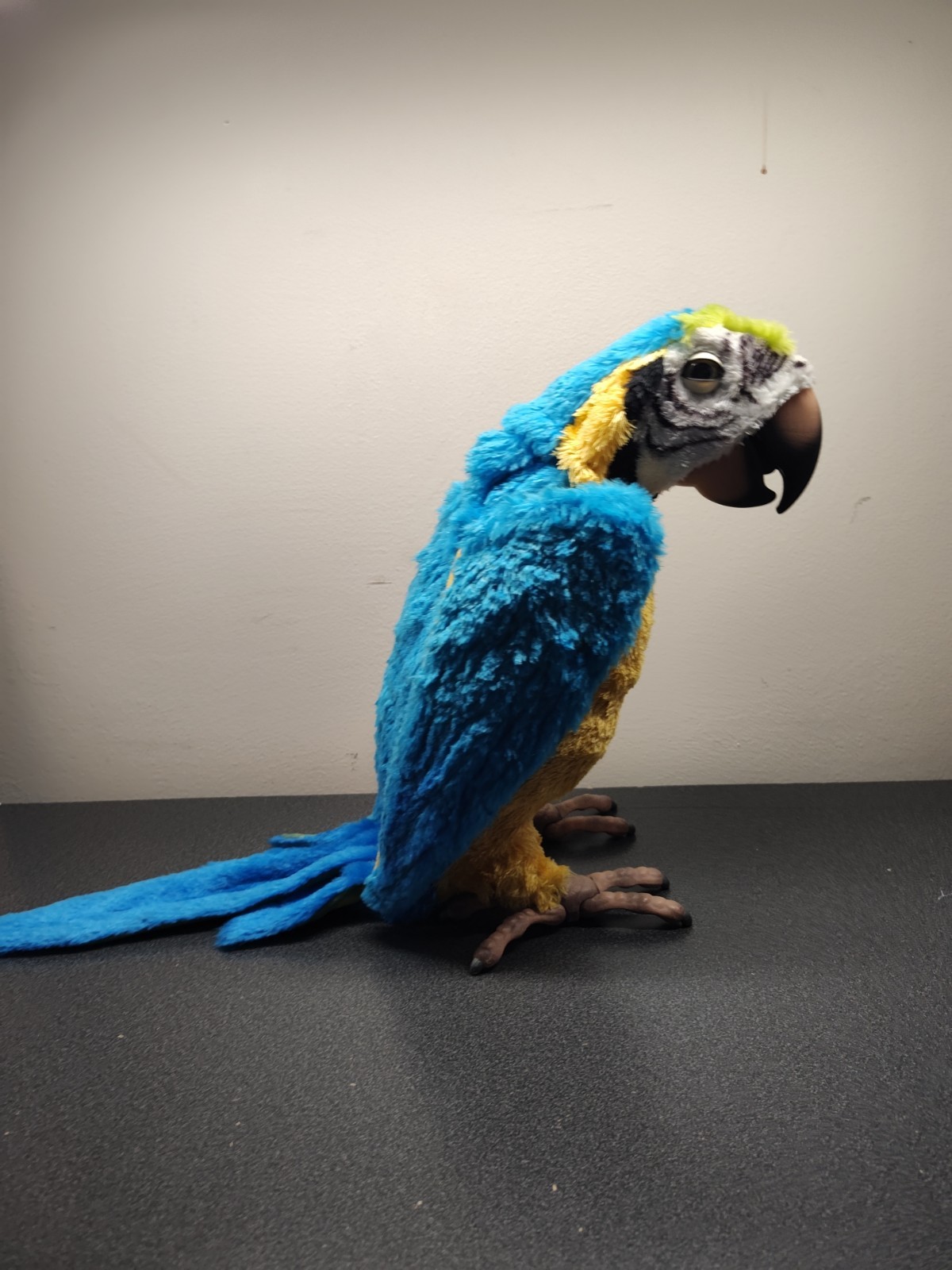 Hasbro FurReal Friends Squawkers Macaw Parrot Interactive Bird, tested Bird Only
