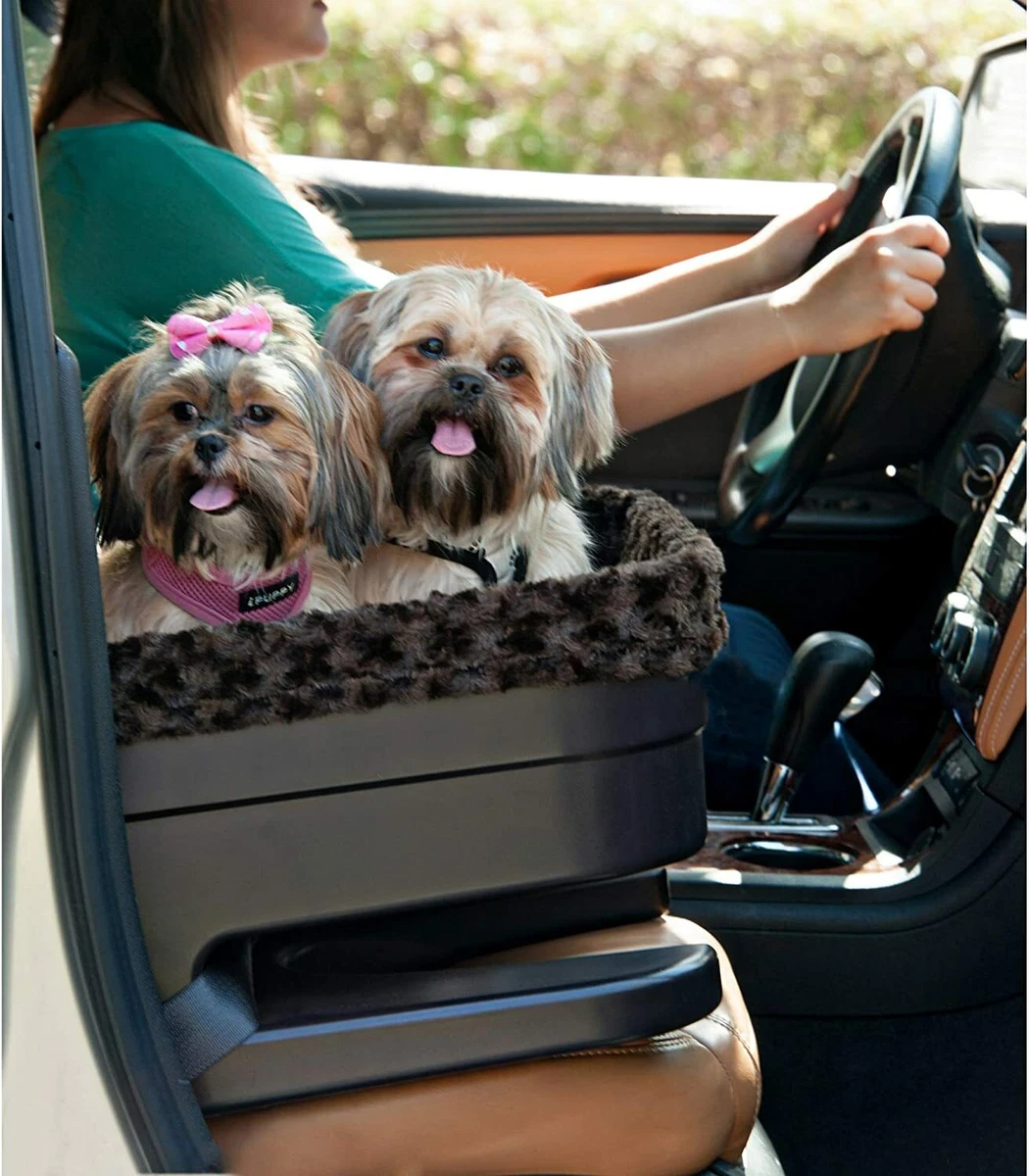 Pet gear hotsell car seat carrier