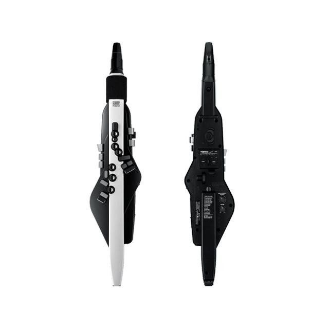Roland Aerophone AE-20 Digital Wind Instrument for sale online | eBay