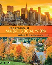THE PRACTICE OF MACRO SOCIAL WORK By William G Brueggemann *Excellent Condition*