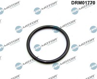 Dr.Motor Automotive Dichtung, AnsaugkrüMmer U.A. FüR CitroËN, Fiat, Ford