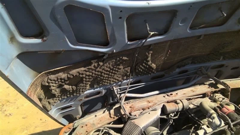 Hood Convertible Fits 83-94 SAAB 900 359671 Foto 4 de 4