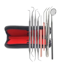 Dental Oral Hygiene Care Kit For Dentist & Home Use Tools Plaque Remover Scaler