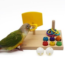 Bird Toys - Budgie  Parrot Training Toys, Color Ring Sets, Chew Ball  Play Gym