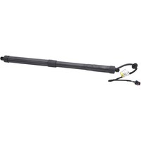 Diederichs 9100532 Gasfeder, Koffer-/Laderaum Hinten Rechts FüR Hyundai Santa FÉ