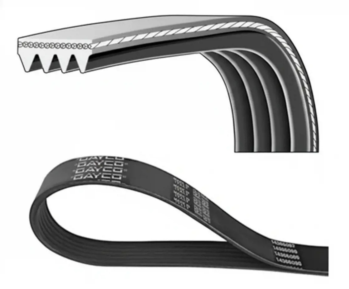 Dayco Cinghia Poly-V 4Pk798ee - Immagine 2