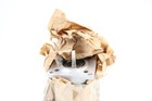 Bild 3 von 15