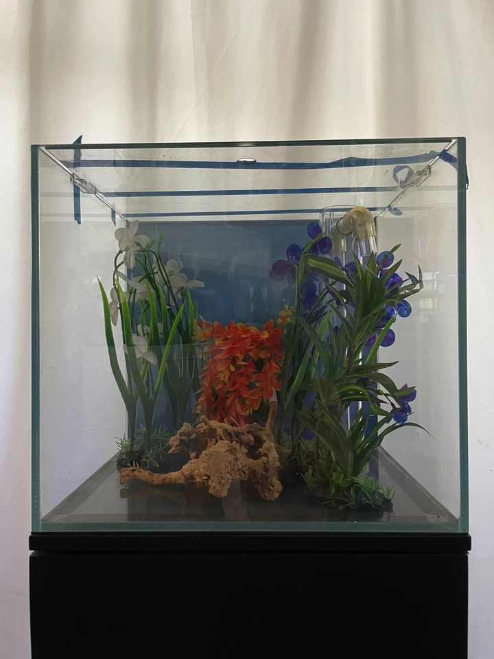ULTRA CLEAR GLASS - 18 gallon cube fish tank aquarium full setup w/ filtration - Image 2 of 4