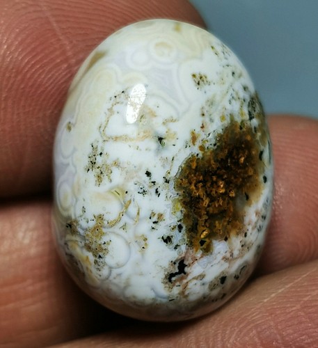 Collection ! Amazing Ocean Jasper Agate palm stone Jasper Reiki Stone - Picture 6 of 11