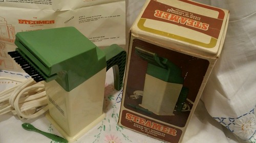 Vintage Steamer Travel Companion Steam Out Wrinkles-Steam in Freshness - Picture 2 of 2
