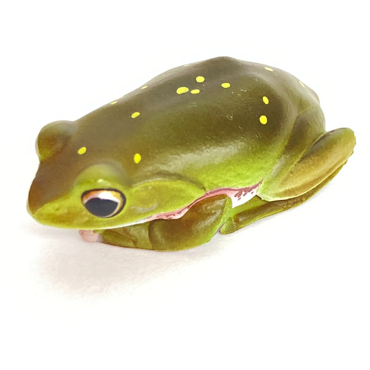 Nature Techni Colour Mini Figure Magnet Schlegel's Green Tree Frog