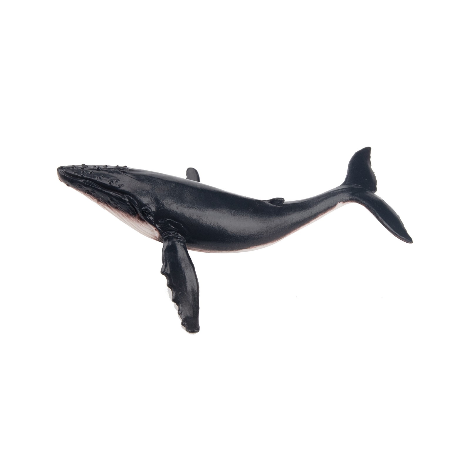 Toymany ML00256 Humpback Whale Action Figure 7,6 Cm Water World