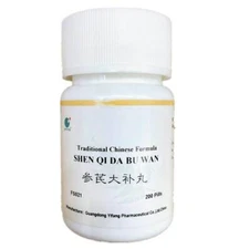 E-Fong Shen Qi Da Bu Wan (200 Pills)