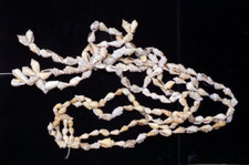 Shell Bead Strand 200g 7oz Jewelry Making Beads BC11