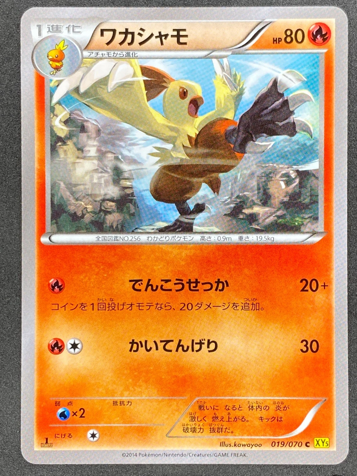 Pokémon Japanese Combusken 019/070 XY5 Gaia Volcano 1st Edition NM