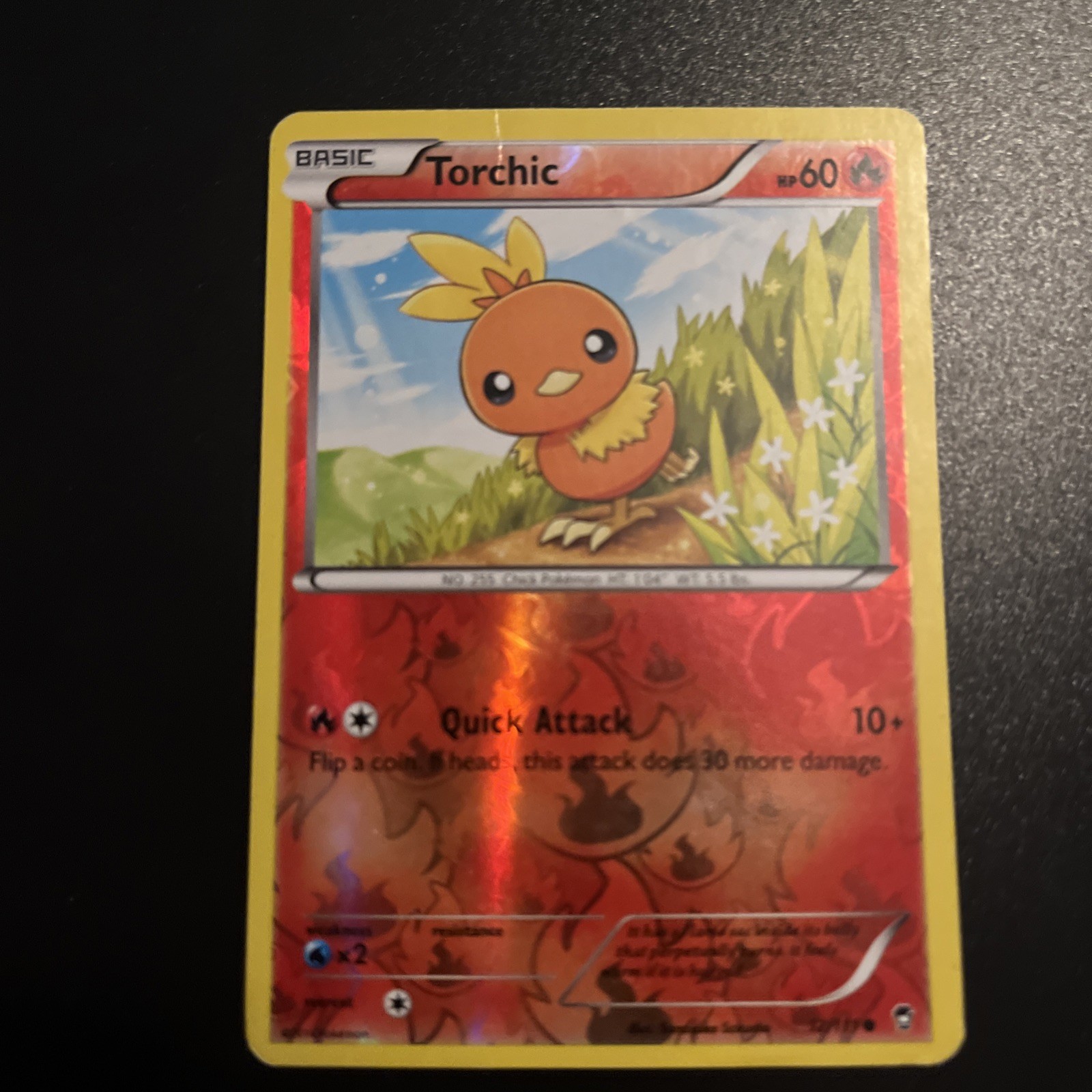 Pokemon TCG Torchic 12/111 Reverse Holo Common XY - Furious Fists LP