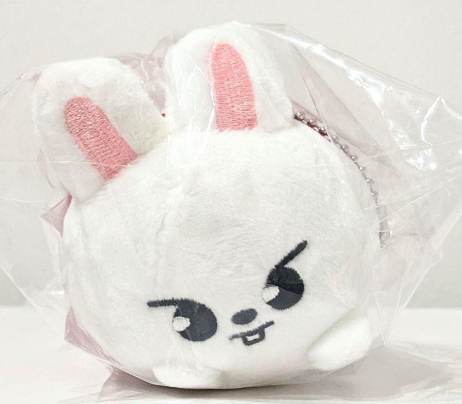 Straykids リービット　ショルダーバッグ　スキズ SKZOO リノ Stray Kids Leebit Lee Know SKZOO Mini Bag Charm POPUP THE VICTORY