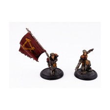 Privateer Pres Warmachine Khado  Winter Guard...