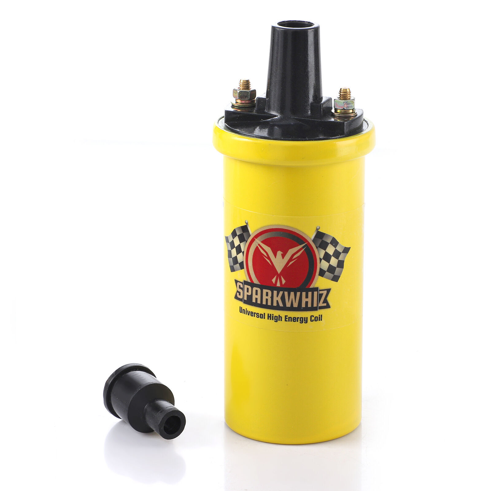 SPARKWHIZ Universal 12V Flame Thrower Ignition Coil Oil Filled 42,000V US eBay