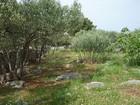 Bild 4 von 9