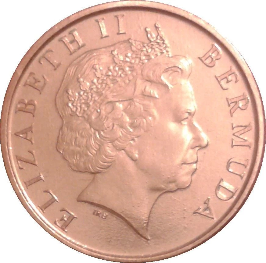 Bermudian 1 Cent Coin | Queen Elizabeth II | Wild Boar | Bermuda | 1999 - 2008 - Image 3 of 4