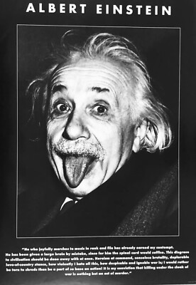 Albert Einstein Poster
