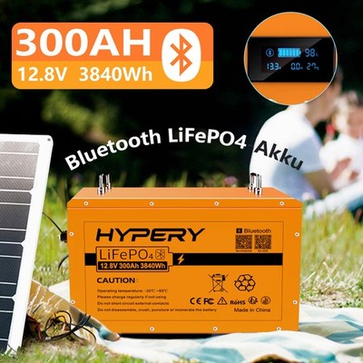 12V 300Ah Lithium LiFePO4 Akku BMS Bluetooth 3840wh Wohnmobile Solar Off Grid RV