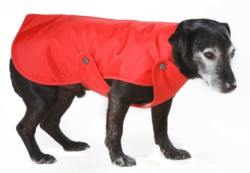 ABRIGO DE LLUVIA PARA PERRO / CHAQUETA con PROTECTOR DE PECHO Y REVESTIMIENTO CÁLIDO - HECHO EN EL REINO UNIDO - Imagen 13 de 13