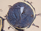 Vintage MOROCCAN Poufs - Malian Tuareg Leather Pouf Ottomans HAND CRAFTED — photo 8