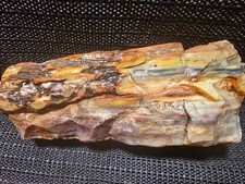 Gorgeous "COLORFUL" Petrified Wood, Rainbow of Colors!! Arizona?