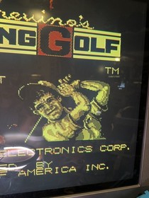 Lee Trevino's Fighting Golf (Nintendo Entertainment System NES) TESTED
