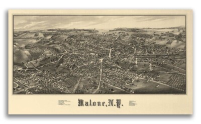 1886 Malone New York Vintage Old Panoramic NY City Map - 24x42