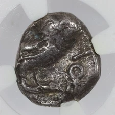 Sabaeans? Imitating Athens Arabia Felix AR Owl Unit 3rd-2nd Centrs. BC NGC Ch F