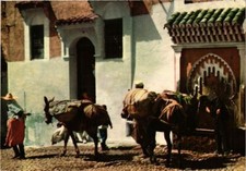 CPM AK MOROCCO - La vie paisible de Chaouen aux sources bienfaisantes (329141)