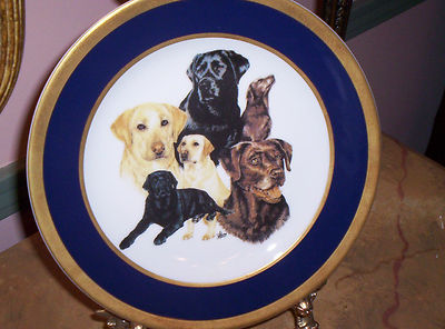 Labrador Retriever Full Color/Multi Image Lapis Blue & Gold 10'' Porcelain Plate