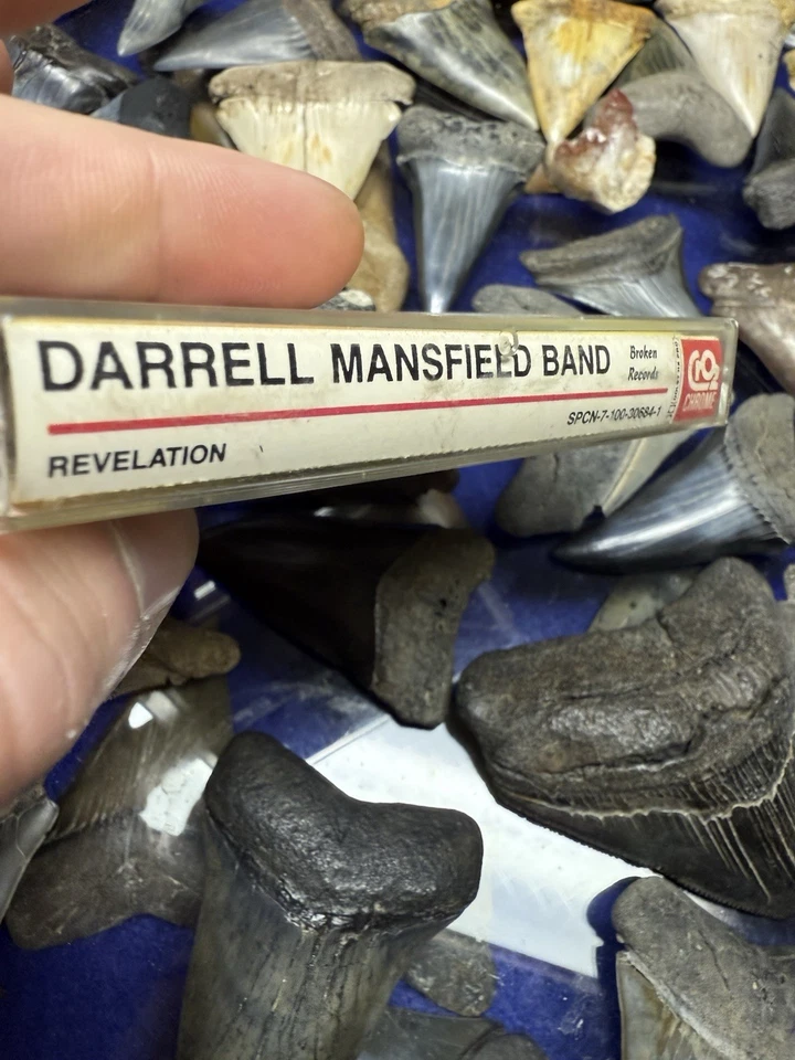 1985 DARRELL MANSFIELD BAND REVELATION HEAVY METAL ROCK CASSETTE CALIFORNIA RARE Foto 4 de 4