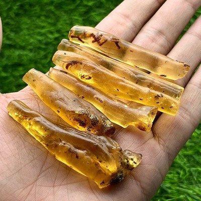 Natural Amber Rough With Insects Inside, 1.75 Inch , 2.5 Inches, Raw Gold Amber