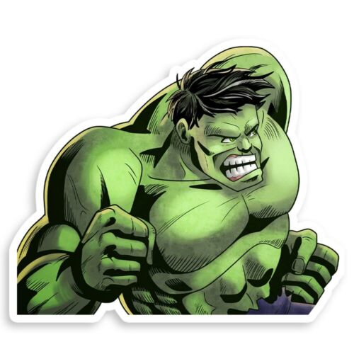 Incredible Hulk aka: Bruce Banner Superhero 3